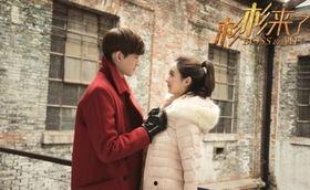 杉杉来了全集在线观看,甜蜜爱情与职场奋斗的完美融合  第2张