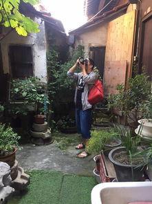 沙溪最新的瓜爆料,揭秘最新瓜爆料背后的故事 第2张 沙溪最新的瓜爆料,揭秘最新瓜爆料背后的故事 第2张